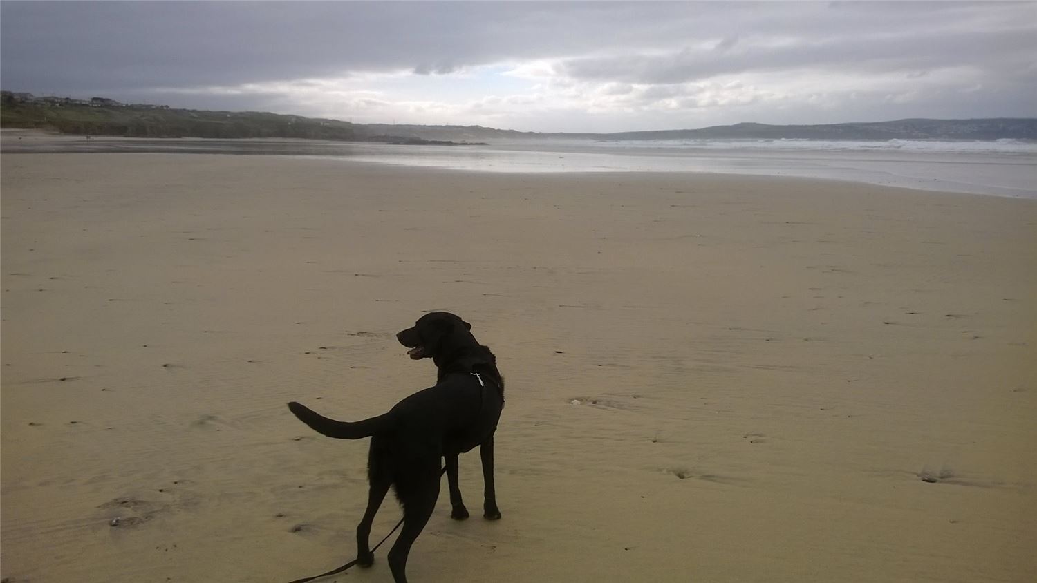 Godrevy