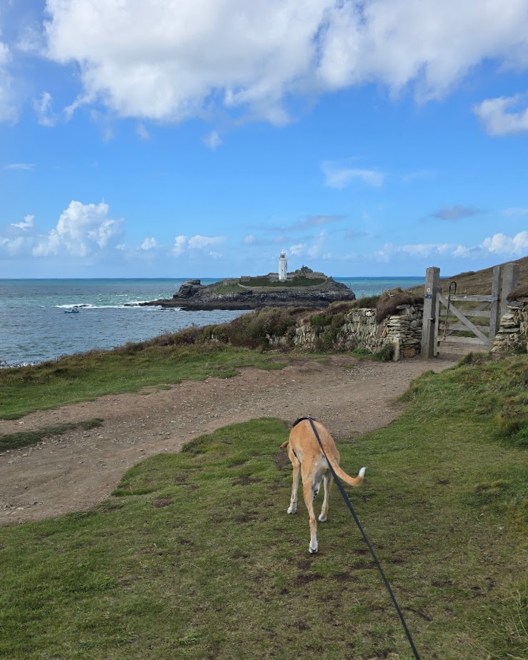 Godrevy