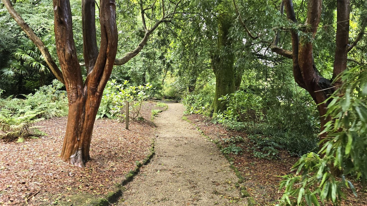 Trengwainton Gardens