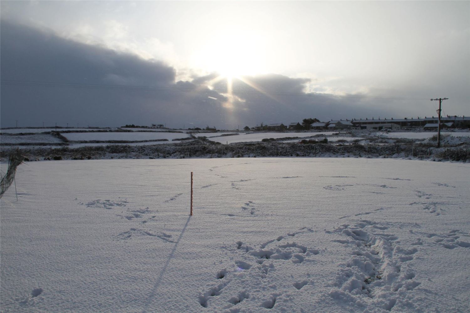 Winter snow in the play paddock at Lebanon Cottage
