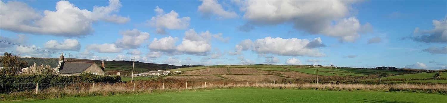 Panorama of the play paddock