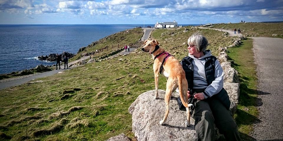 Land's End Cornwall, sitting on a rock with a lurcher dog, sea and cliffs in the background